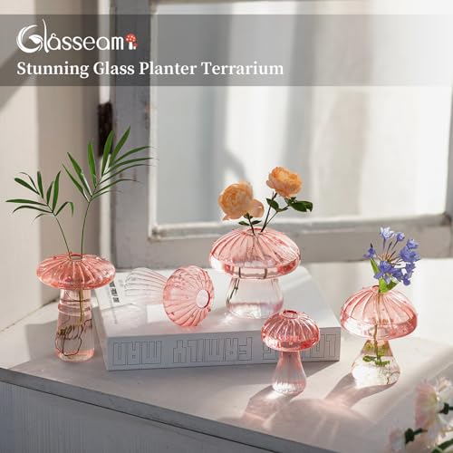 Glasseam Mushroom Plant Propagation Station: 5 Pcs Pink Glass Terrarium Jar - color: Pink, size: 10