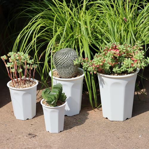 14 Pack 4.40 Inch White Plastic Deep Nursery and Seedling Pots, Round Planter Container for Transplanting, Cutting, Succulent - color: White, size: 4.40 inch