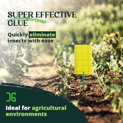 Catchmaster GRO Yellow Regular Double Sided Sticky Traps 36PK, Adhesive Bug & Fruit Fly Trap, Pest Control for Home, Farm, Garden, Hydroponics & Greenhouse, Protect Live Plants Indoor & Outdoor - size: 36 Pack - Yellow