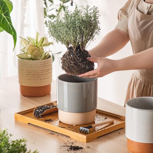 6 Inch Ceramic Self Watering Planter with Drainage Hole, Dark Grey - color: Darkgrey, size: Small