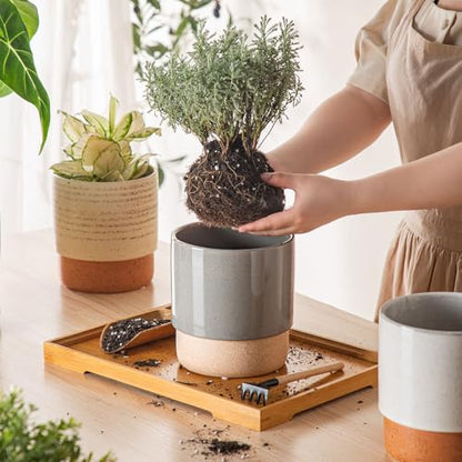 6 Inch Ceramic Self Watering Planter with Drainage Hole, Dark Grey - color: Darkgrey, size: Small