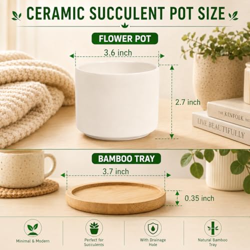 ZOUTOG 6 Pack 3.6" Ceramic Succulent Pots,White Planter with Drainage Tray | Round Flower Plant Pot Ideal for Windowsill, Bedroom and Living Room, Great for Succulents, Cacti & Small Indoor Green Plants