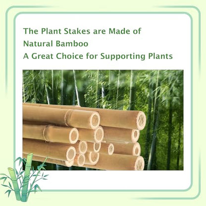 Bamboo Stakes 6FT, Garden Stakes 6 Feet for Plants, 5/8" D Thicker Sturdy Plant Stakes 20pcs for Tomato, Beans, Flowers, Potted and More Climbing Plants - size: 6FT, pack of 20