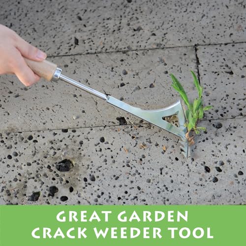 Crack Weeder, 13.4" Stainless Steel Crevice Weeding Tool with Wood Handle, L-Shaped Side-Walk Weed Puller Spatula, for Garden Lawn Yard Patio Terrace Paving Moss, Small Gardening Tool - size: 13.4" Crack Weeder