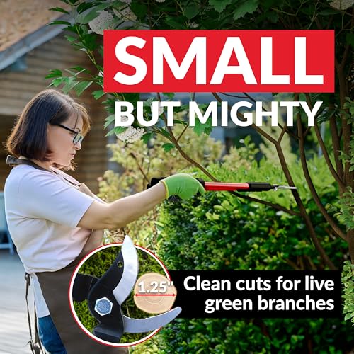 TABOR TOOLS GL18A Small Bypass Lopper, Short 20 Inch Tree Trimmer & Branch Cutter, Compact Tree Pruner with 1 Inch Clean Cut Capacity, Chops Branches with Ease - style: GL18A Small Bypass Lopper
