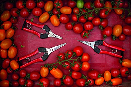 Felco Pruning Shears (F 7) & FELCO322 Snips - Swiss Made Garden Pruners & Picking Shears Bundle