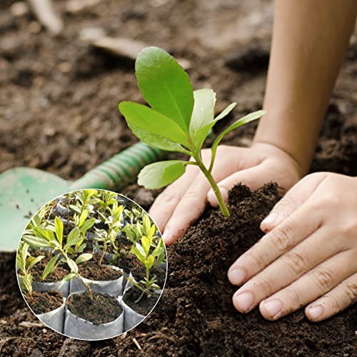 GREANER 100PCS Biodegradable Plant Bags, 5.9x6.3 inches Non Woven Seedling Bags for Planting, Garden Seed Starters Pouchs for Vegetables, Flowers, Indoors and Outdoor Use - size: 5.9"x6.3"/100pcs