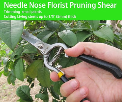Forged Needle Nose Precision Clippers, Grape Vegetables Flowers Pruning Shear, Ergonomic handle with Soft Grip, Straight Blade Harvesting Scissors 8-Inch (Straight) - style: Straight