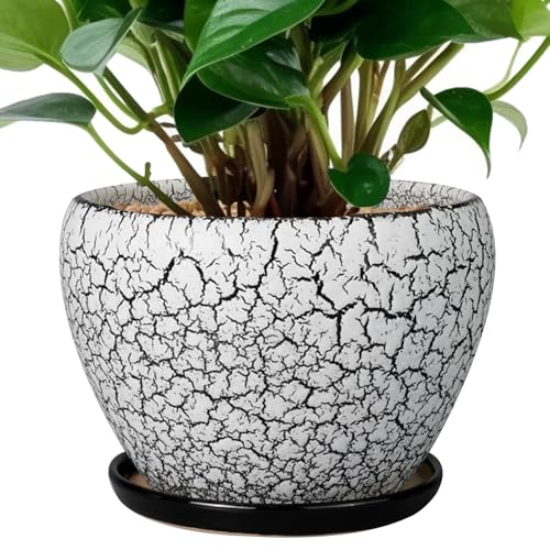 Ceramicfor Ceramic Planter Pot - 6 Inch Plant Pot with Drainage Hole and Saucer, Succulent Pot Glaze Round for Indoor Outdoor Plants, White and Black - color: White and Black, size: 6 Inch