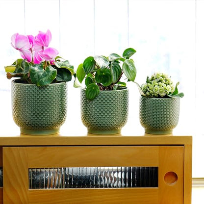 4 + 5 + 6 Inch Ceramic Pots for Indoor Plants, Succulents Plant Pots, Orchid Flower Pot with Drainage Hole, Modern Clay Stoneware Planters, Set of 3 (Green, 4+5+6 Inch) - color: Green