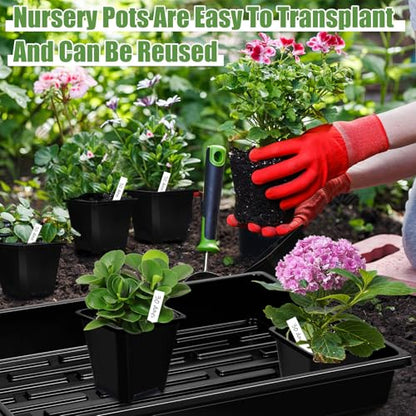 mwellewm 5 Pcs Seed Starter Tray, 3.5 Inch (9CM) 60 Pcs Nursery Pots Kit, Thickened Seed Starting Trays Square Seedling Pots for Plants Sturdy Microgreens Growing Trays Reusable Germination Tray - size: 3.5'' Pots-60pcs + 15.2" x 11" x 2.6" Trays-5Pcs