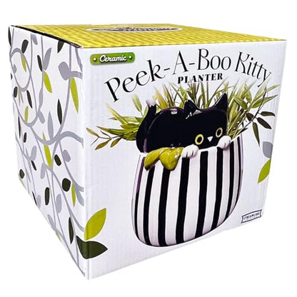 Streamline Imagined Ceramic Planter Pot for Succulent - Peek-A-Boo Kitty - Indoor - 6.75 x 6.75 x 6.75 inches - color: Black