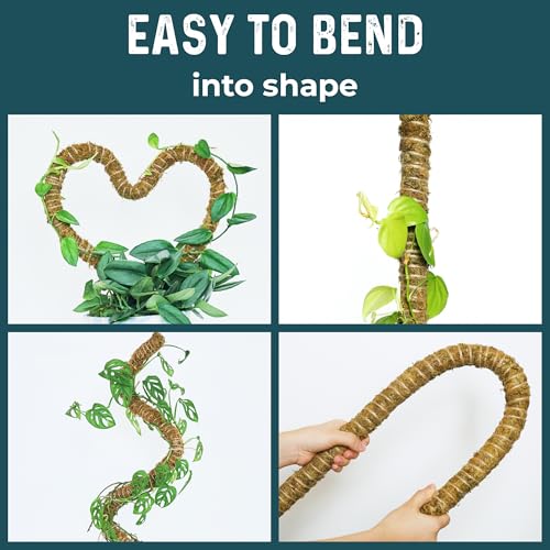 2pcs 42'' Real Forest Moss Pole Monstera Plant Support -Moisture Retaining - size: 2-Pack (42 in)
