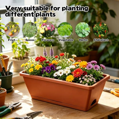 12 Pack Window Box Planter Rectangular Vegetable Flower Planters with Drainage Holes Saucers Plastic Flower Pots Planter for Indoor Outdoor Patio Garden Decor