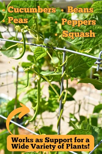 Happy Trees Large Heavy Duty Folding Tomato Cages, 3-Pack, Made in USA - color: Silver