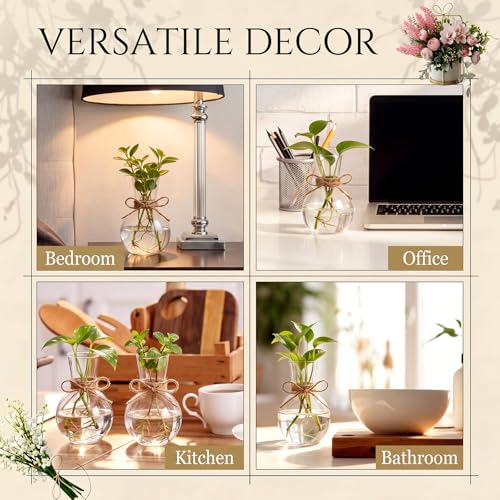10 Pack Glass Plant Propagation Stations, Plant Terrarium Bulb Glass Propagation Vases with Hemp Rope, Clear Hydroponics Jars Gardening Gifts for Home Office Desk Decoration