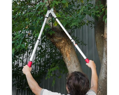 Kimura® Pro Heavy Duty Garden Loppers - 25-37", Premium Anvil Lopper with Advanced Ratchet Mechanism, Lightweight Telescopic Handles, Japanese SK5 Steel Blades, Extendable Garden Loppers - size: 25"-37" Ratchet