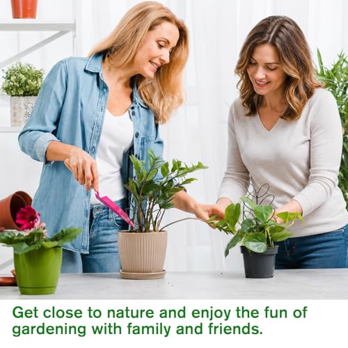 2 Pack Small Plant Trellis for Pots Indoor