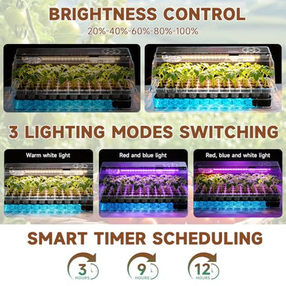 Seed Starter Tray Self Watering, Seed Starter Kit with Grow Light, Full Spectrum Grow Light for Seedling with Timer, Indoor Plant Grow Tray for Beginners & Seasoned Gardeners (144 Cells) - size: 144 Cells