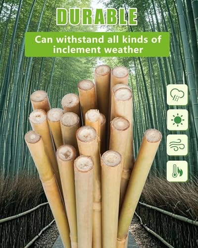2ft Natural Bamboo Plant Stakes for Tomatoes, Beans, Flowers, Potted, Climbing Plants 30pcs - size: 2FT 30PCS