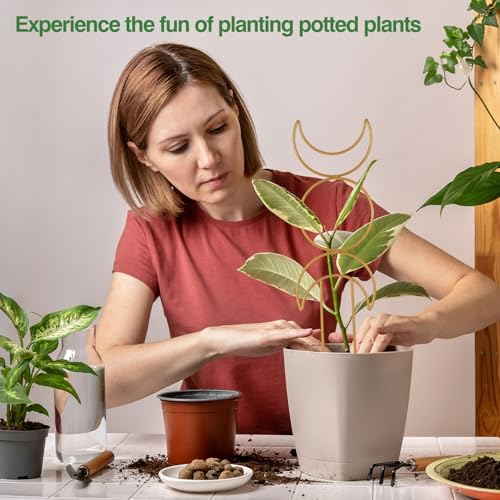 Wellsign 16inch Indoor Plant Trellis for Potted Plants - size: Gold-Metal-Trellis01
