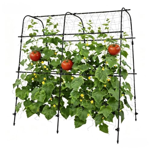 Garden Arch Trellis for Raised Beds, 5.3x5.3FT Plant Support for Cucumbers, Melons, Grapes, Roses & Climbing Vegetables, Outdoor Rust-Resistant Trellis for Vertical Growing, Black - size: 5.3x5.3x2 Ft