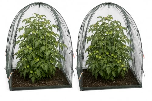 NuVue Products 25203 Pop-Up Garden Netting Animal and Bug Guard Covers with Ground Spikes, Mesh Plant Cover Tents for Pest and Animal Control, Pack of 2, Green, 36" x 36" x 38" - color: Green, size: 36" x 36" x 38"