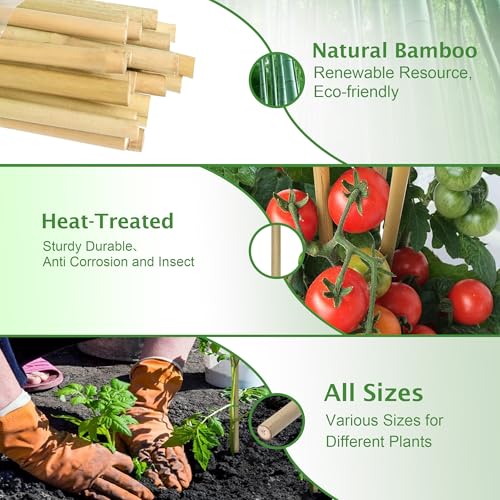 Bamboo Stakes 3FT 25 Pack, Garden Stakes 36 inch, Thicker Sturdy Nutural Plant Stakes for Tomatoes, Beans, Flowers, Potted and More Climbing Plants - size: 3FT, pack of 25