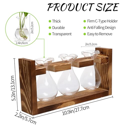 Plant Propagation Station Plant Terrarium Unique Birthday Gifts for Women - color: Transparent