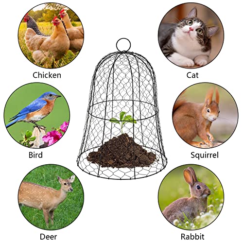 Coloch 5 Pack Garden Chicken Wire Cloche, 16x 13 Inches Black Dome Plant Protector Cover Strong Metal Garden Cloches Protecting Plants and Seedling from Animals