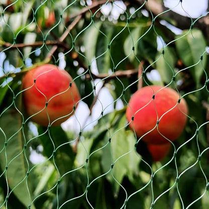 Bird Netting for Garden 6.5 x 100 FT, 1/4 Inch Mesh - size: 6.5×100FT,1/4 In Mesh