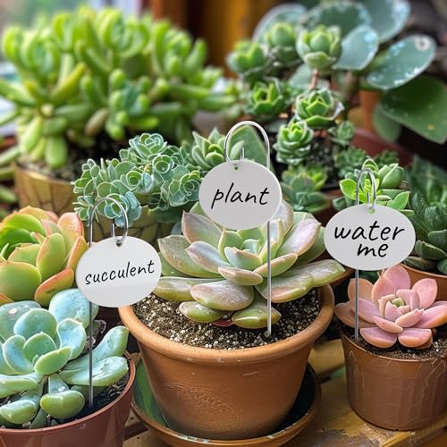 Temlum Acrylic Plant Labels for Indoor & Outdoor Plants, White 25pcs - color: White 25pcs