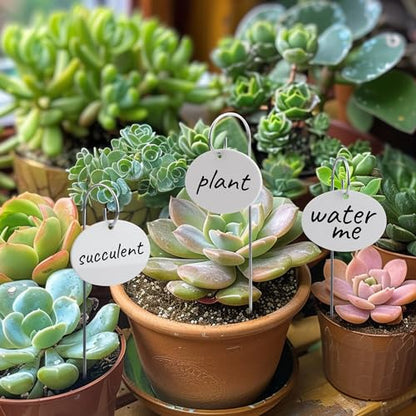 Temlum Acrylic Plant Labels for Indoor & Outdoor Plants, White 25pcs - color: White 25pcs