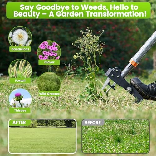 GASREKV Weed Puller Tool, 4-Claw Steel Head Stand Up Weeder, 39"-46" Adjustable Handle & Easy Eject, Root Weed Remover for Dandelion, Thistle & Crabgrass, No Bending - color: Orange