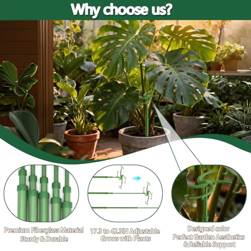Telescoping Plant Stakes 5Pack 17.3to42.3IN Adjustable MonsteraPlantSupport - size: 42.3 IN 5 PCS