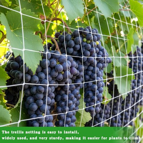 Trellis Netting for Climbing Plants 6x15Ft Garden Trellis Netting Plant Support Net Heavy Duty Climbing Net Trelliss for Vegetables Fruits Grape Beans Tomatoes Peas Pumpkin Flowers Cucumber Outdoor - color: 1 pcs white, size: 6x15ft