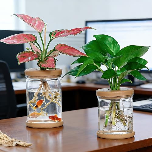 Desktop Plant Hydroponic Vases, Water Plant Jars, Gardening Gifts for Office and Home, Outdoor - color: Clear