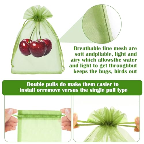 50 PCS 4X6 inches Fruit Protection Bags, Fruit Bags for Fruit Trees - size: 4X6