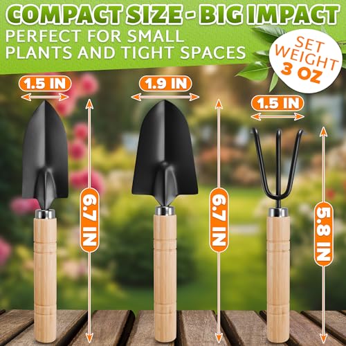 3 Pcs Mini Garden Tools, Shovel, Rake, Wooden Handles, Steel Heads