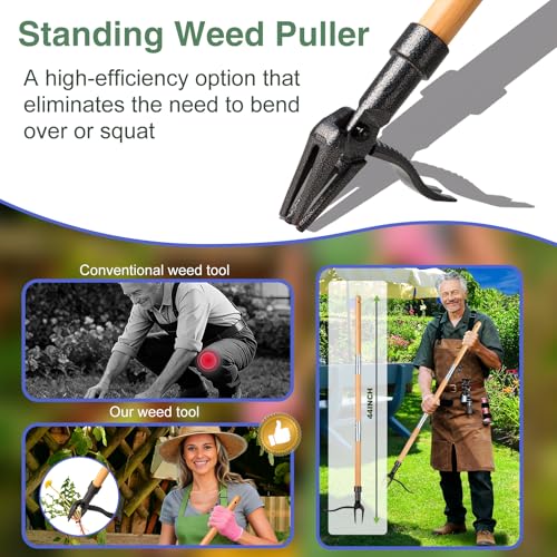 Weed Puller Stand Up Weed Puller Tool with Wooden Long Handle Foot Platform Design 4-Claw Steel Head & Removable 3-Section Pole Garden Tools-Easily Remove Weeds Without Bending or Kneeling