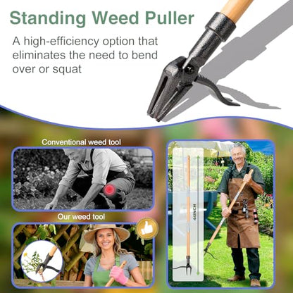 Weed Puller Stand Up Weed Puller Tool with Wooden Long Handle Foot Platform Design 4-Claw Steel Head & Removable 3-Section Pole Garden Tools-Easily Remove Weeds Without Bending or Kneeling
