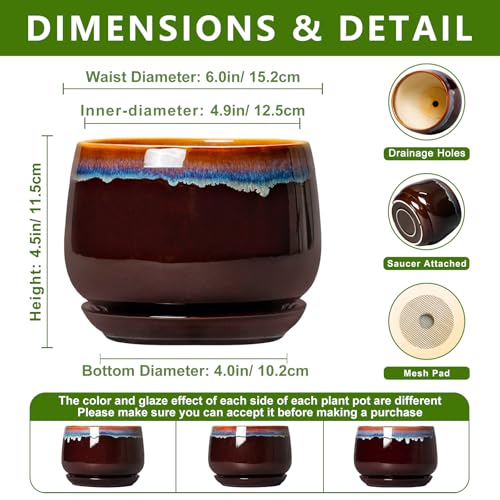 Ceramic Plant Pots - 6 Inch Planter with Drainage Hole and Saucer, Small Succulent Pot for Indoor Plants, Round Decorative Flower Pots, Garden Shelf Decor, Plant Gifts for Women, Brown-Blue - size: 6 Inch, style: Brown-blue