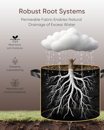 The Growing 5 Pack 3 Gallon Fabric Grow Bags，Thickened Aeration Nonwoven Fabric Plant Pots with Durable Handles,Heavy Duty 300G Planter Pot for Tomato, Fruits, Vegetables and Flowers, Black
