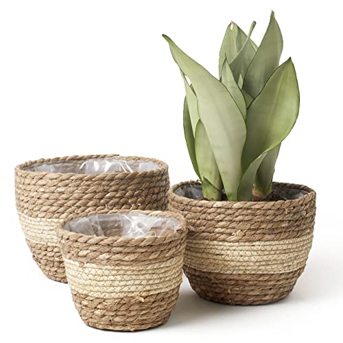 LA JOLIE MUSE Seagrass Basket Planters for Indoor Plants, Flower Pot 3 Pack - color: Beige