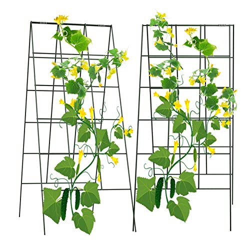 AGTEK 2 Packs 18" x 46" Foldable Cucumber Trellis for Cucumber, Climbing Plants, Vegetable Flowers - size: 36"W x 46"H
