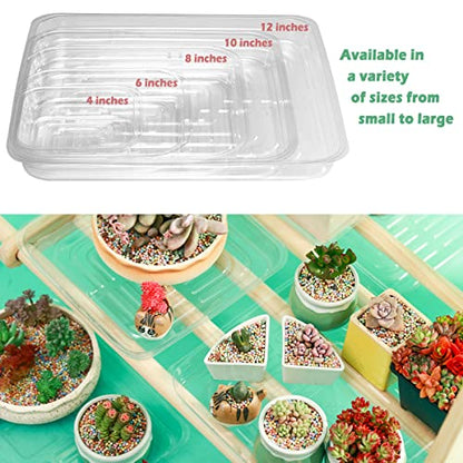 30 Pack Plant Saucers for Indoors 12 Inches Plant Trays for Pots Plastic Trays for Plants Square Plant Drip Trays for Potted Plants Flower Pot Saucers Clear Plant Plates to Catch Water, Bulk - size: 12 Inches