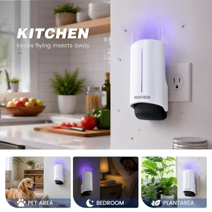2 Plug-in Flying Insect Traps & 10 Refills, Effective Fly Trap for Indoor Use, Small Bug Catcher with Purple Light for Fruit Flies, Gnats, Moths and Mosquitoes