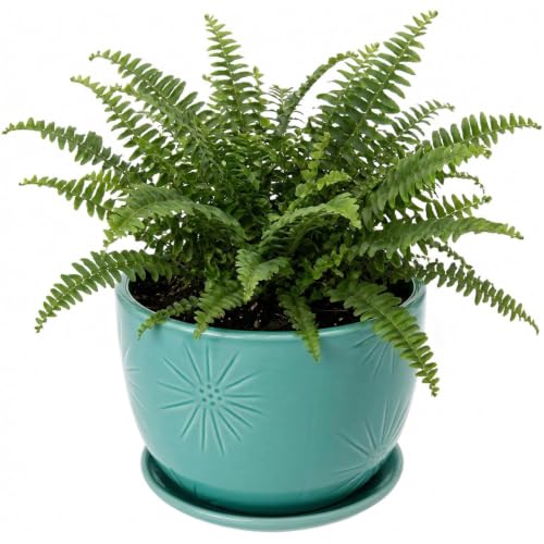MyGift 7-Inch Turquoise Ceramic Planter Pot with Drainage Hole & Saucer - color: Turquoise