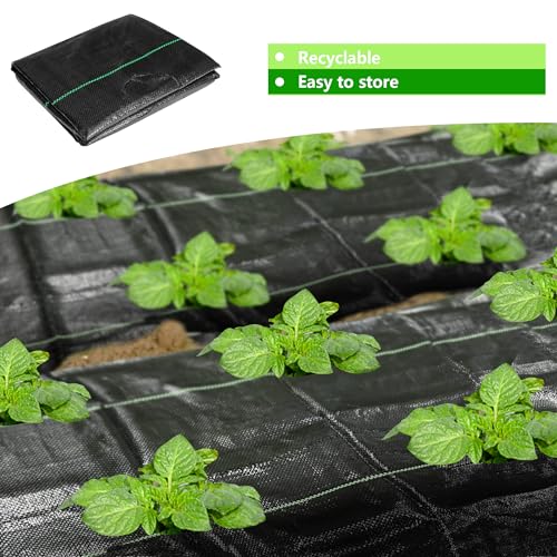 CODREE 2 Pcs Heavy-Duty Garden Weed Barrier - 13 x 4 Ft Landscape Fabric with Planting Holes - Weed Control Gardening Mat with 12 Ground Nails - color: 2pcs-4x13ft