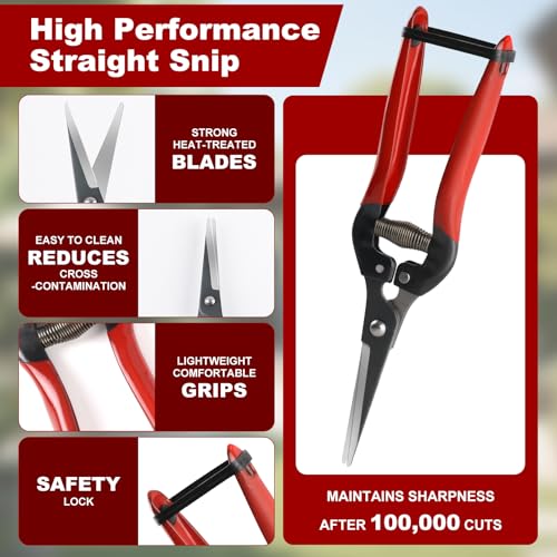 LEEPENK 2 Piece Garden Shears Set: Heavy Duty Pruning Shears with Japanese SK5 Steel Blade & Long Straight Garden Snip,Complete Pruning Shears for Gardening, Tree Trimming, Flower & Herb Cutting